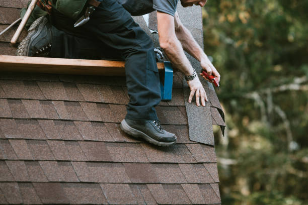 Best Roof Gutter Cleaning  in East Bernard, TX